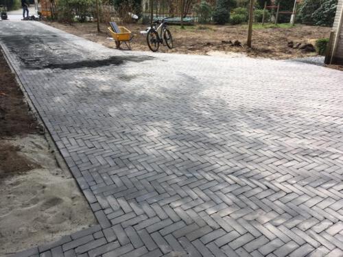 56624569 1996231507169519 4483114179556802560 n