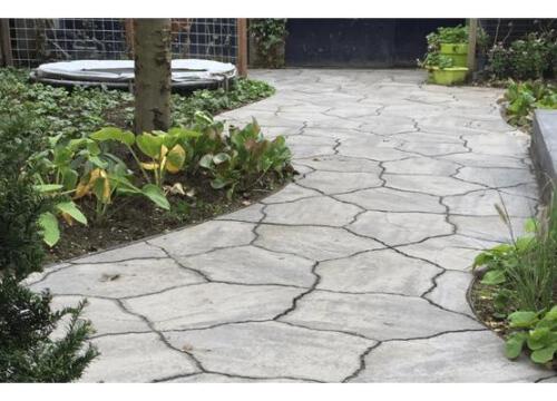 66748095 2157191794406822 8737922848439402496 n